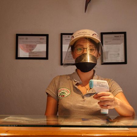 Hotel Aurora Oaxaca Eksteriør bilde